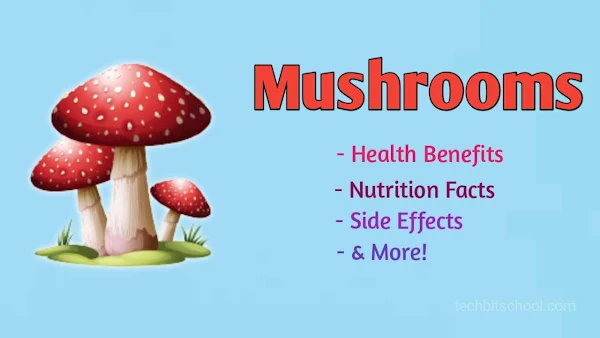 Mushrooms: 11 Important Health Benefits, Nutrition Facts, Side Effects & More!