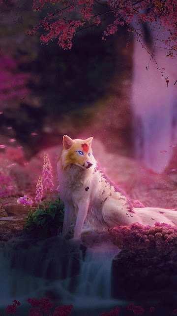 Fox in Pink Forest