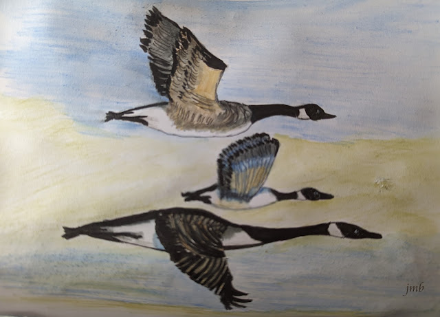 Wild geese fly south, watercolor by Judy Birmingham