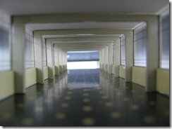 IMG_1091 IMG_1091