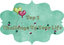 Top 3 - 02/2015 bei Challenge up your life