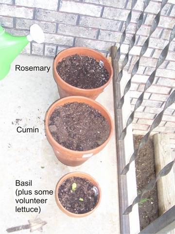 Pots