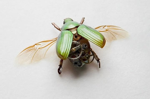 incredibly steampunk insect by Lindsay Bessanson