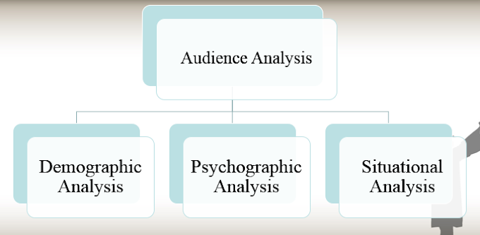 Audience Analysis