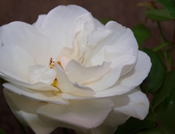 P7110210