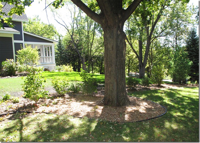 Landscaping 308