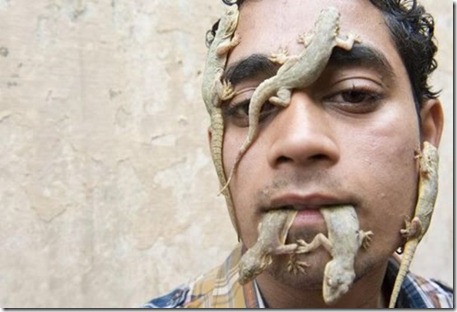 Real-lide-lizardman21