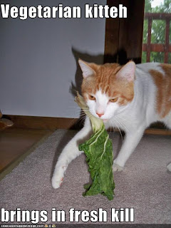 lolcat with chard