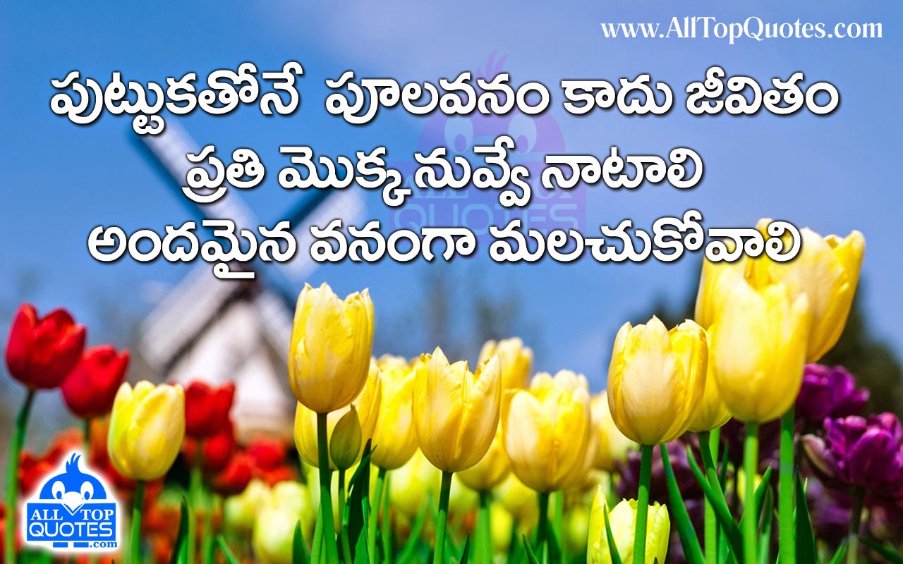 Telugu Inspiring Life Quotation - All Top Quotes | Telugu ... - 1280 x 800 jpeg 207kB