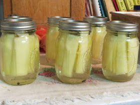 zucchini dill pickles