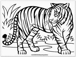 Tiger Coloring Pages,Tiger Coloring Pages For Kid,Printable Tiger Coloring Pages,Pictures Of Tiger