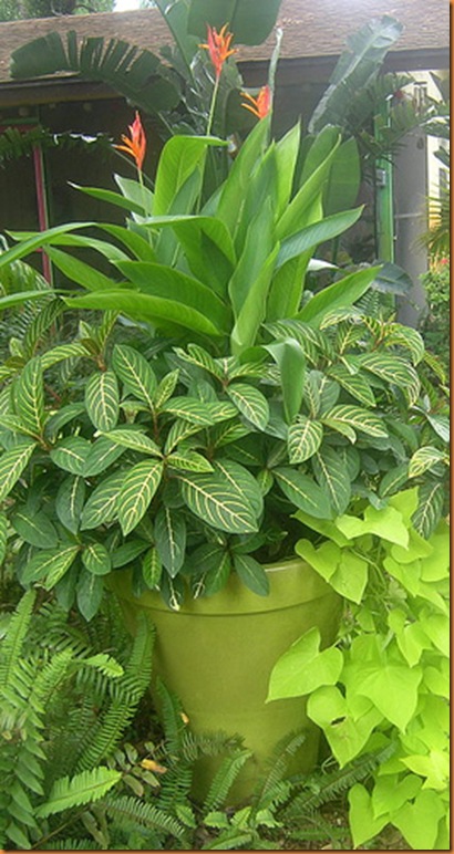 pot2