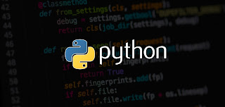 Python Programming Tips