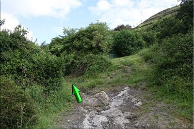 Continuamos por el marcado sendero