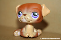 Littlest Pet Shop Club: List of the first 150 Littlest Pet Shop Collection