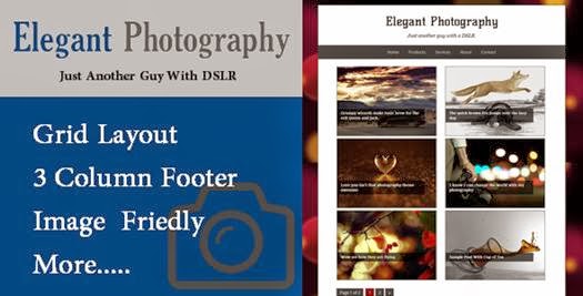Download Elegant Photography Blogger-bwtemplate