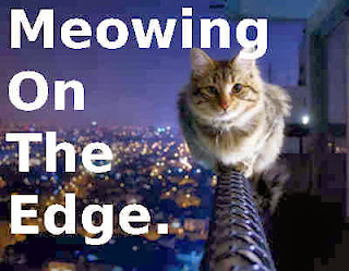 meowing on the edge