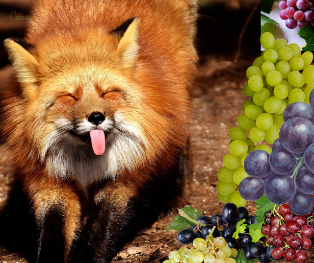 The Fox and the Grapes: