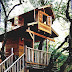 Treehouse (company) - Learning Tree House