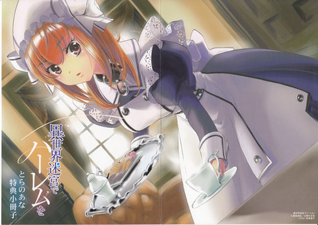 [Ruidrive] - Ilustrasi Light Novel Isekai Meikyuu De Dorei Harem - Volume 01 - 014
