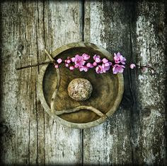 aged bowl, stone, twig, cherry blossoms