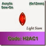 H2AC1 copy