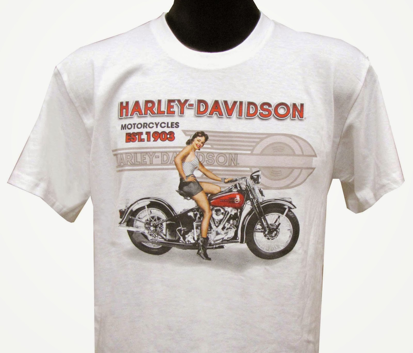 http://www.adventureharley.com/harley-davidson-t-shirt-summer-lake-white