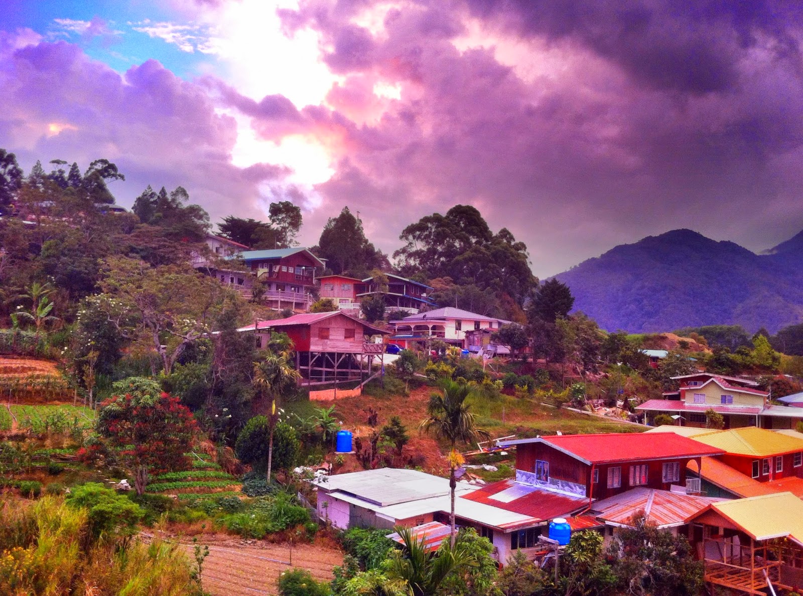 Everything About Wood: View of a farming village at Kundasang