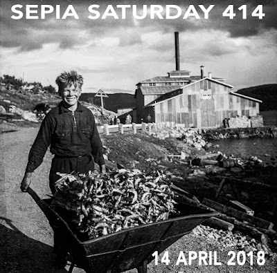 http://sepiasaturday.blogspot.com/2018/04/sepia-saturday-414-14-april-2018.html