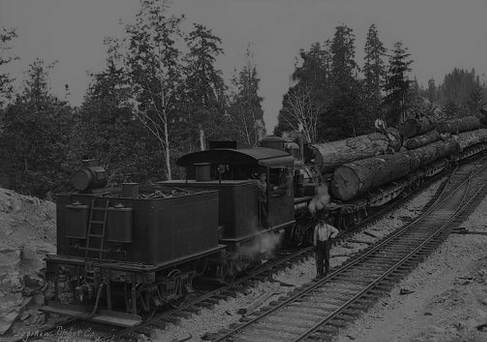 January 29: India's first jumbo train was off