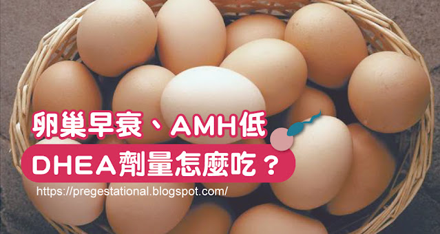 卵巢早衰、amh值低，DHEA要怎麼吃