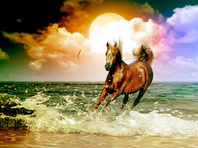Red Horse Running In Water Wallpaper