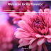 My Flowers New Tab Extension