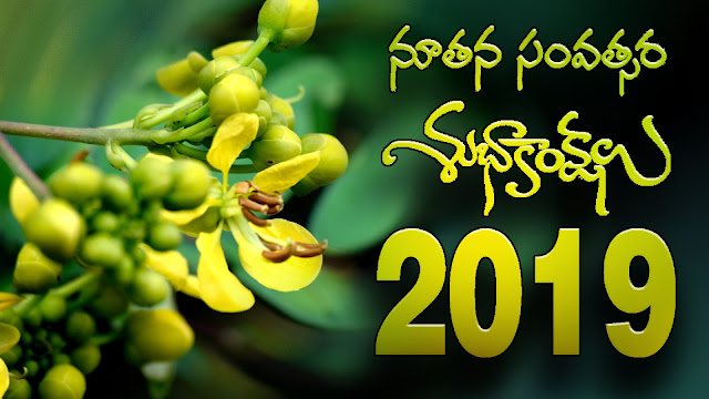 new year 2019 download HD wallpapers and happy new year 2019 download 3D wallpapers and happy new year 2019 download 4K wallpapers and happy new year 2019 download PSD wallpapers happy new year 2019 free download PNG wallpaper and happy new year 2019 download wallpapers and happy new year 2019 wallpapers download and happy new year 2019 HD wallpapers download New Year images 3D 2019 free downloads | New Year 2021, 2019, 2020 | Aim Photography happy new year 2019 greetings will get on net happy new year 2019 hd images for best results happy new year 2019 images download for any where happy new year 2019 jokes also available happy new year 2019 3D&4K images should be here happy new year 2019 HD images 4K images and happy new year 2019 HD images 3D and happy new year 2019 HD images 5D 