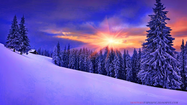 Winter Lanscape Wallpaper