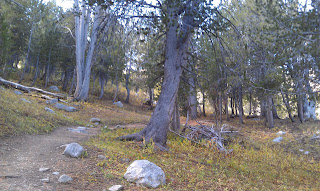 Lamoille Canyon