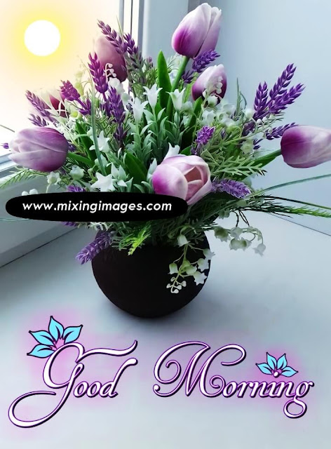 Purple Flower Good Morning Images