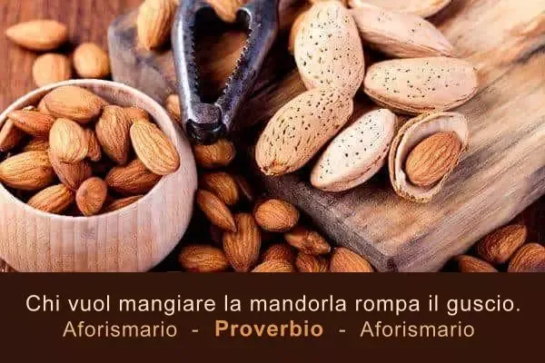 Mandorle con guscio e senza