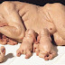 Hyperrealist sculptures of Patricia Piccinini.