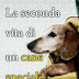 4 ottobre 2012: "La seconda vita di un cane speciale" di Emma Pearse