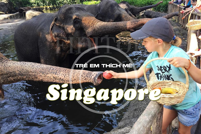 Sở thú Singapore không chỉ khiến trẻ em thích mê 