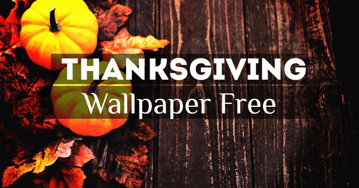 Thanksgiving Wallpapers HD Free Download