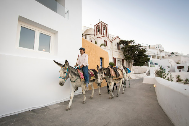 Asini a Fira-Santorini