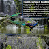 Kuala Lumpur Bird Park