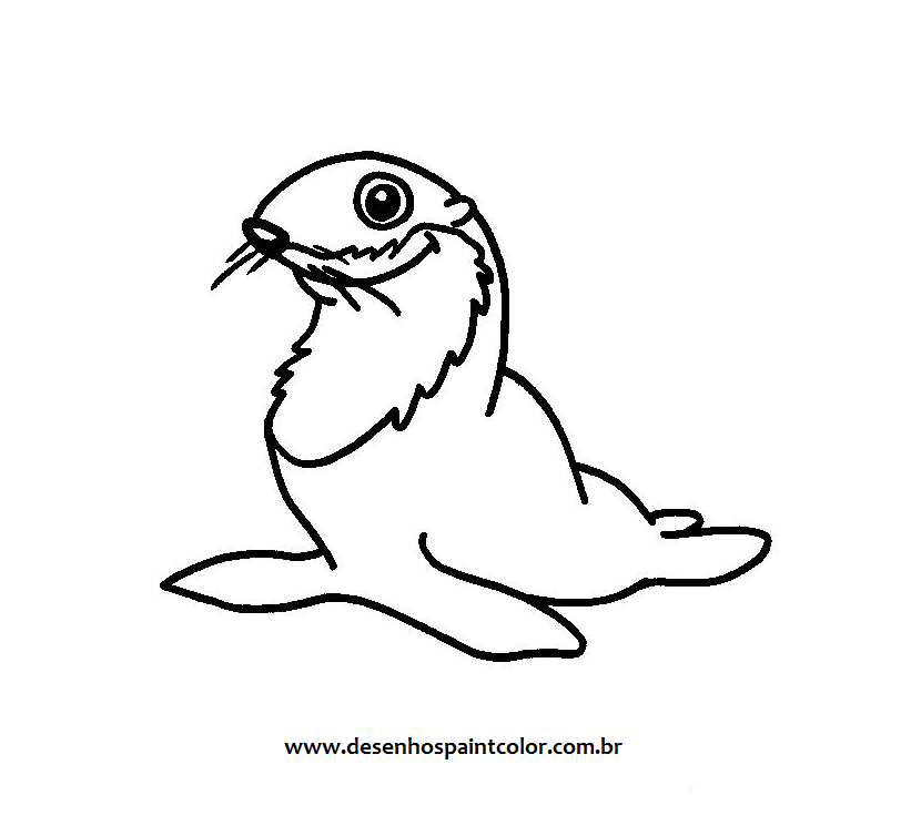 DESENHO DE FOCA PARA IMPRIMIR E COLORIR , DESENHOS INFANTIS PARA