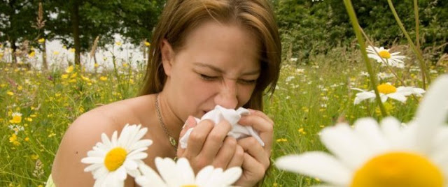 hayfever homeopathy cure