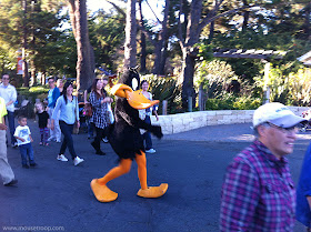 Daffy Duck costume looney Six Flags Discovery Kingdom