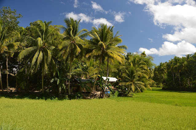 O que visitar em Bohol, Roteiro Bohol, O que fazer em Bohol, Roteiro Filipinas, O que visitar nas Filipinas