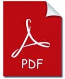 PDF Download Icon