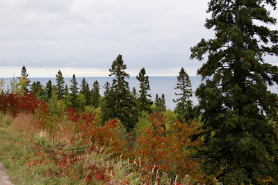 Superior National Forest overlooking the Lake